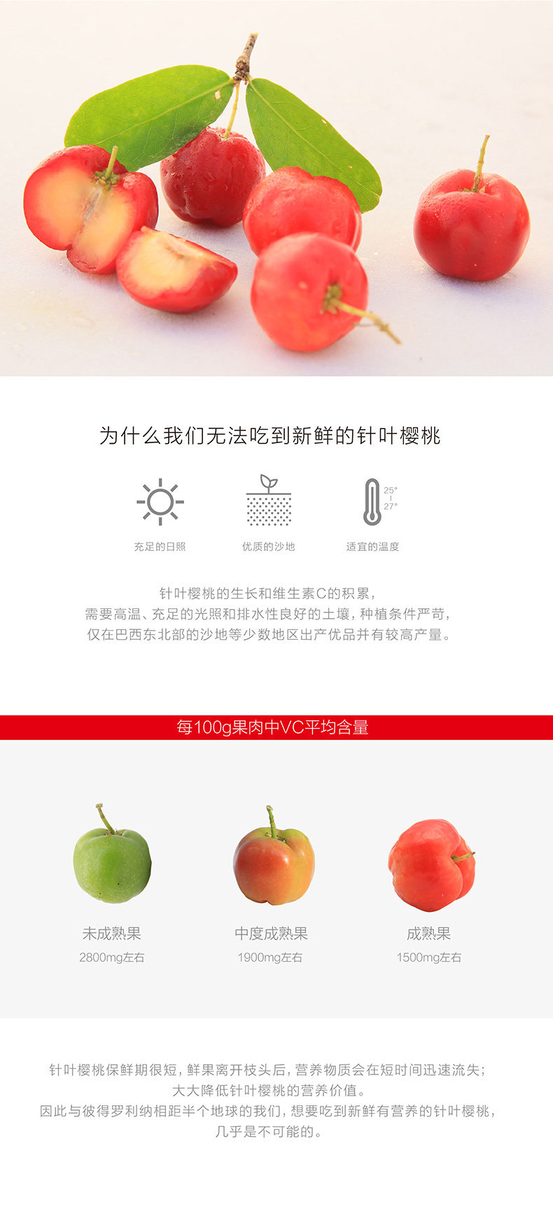 送维生素c养生堂牌天然成人咀嚼片 盛唐本草保健品维生素/复合维生素