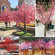 Simulated peach blossom branch for living room fake single floor-standing cherry blossom branch