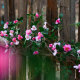 Simulated vine rose vine air conditioning pipe wall decoration