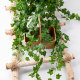 Simulated ivy wall hanging decorative plastic hanging basket with green leaves