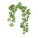 Diewu Qixingye rattan home decoration good things beautification