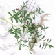 Simulated plant olive branches and green leaves wedding flower arrangement decoration