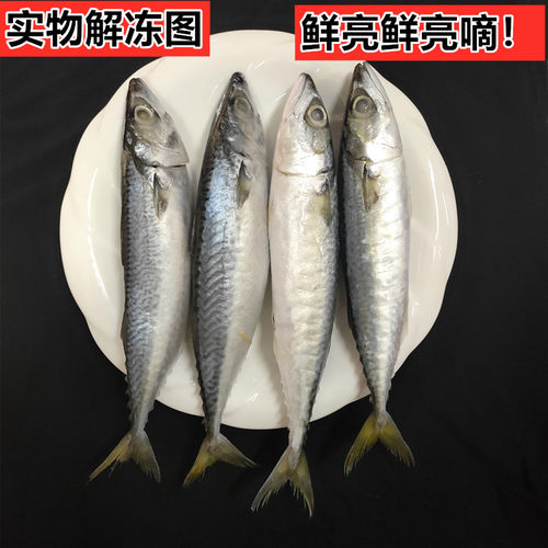 船冻青占鱼20斤野生海捕新鲜海鲜冷冻青花鱼青鱼小头鱼鲐鲅鱼包邮 - 图0
