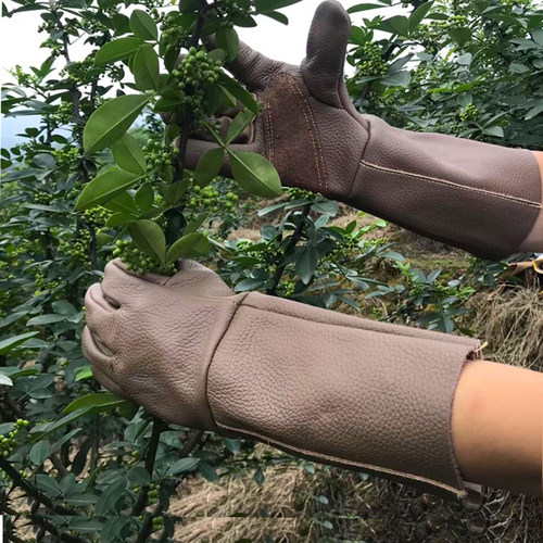 防刺牛皮摘花椒剥板栗防扎园艺修剪玫瑰月季耐磨加厚左手户外手套 - 图1