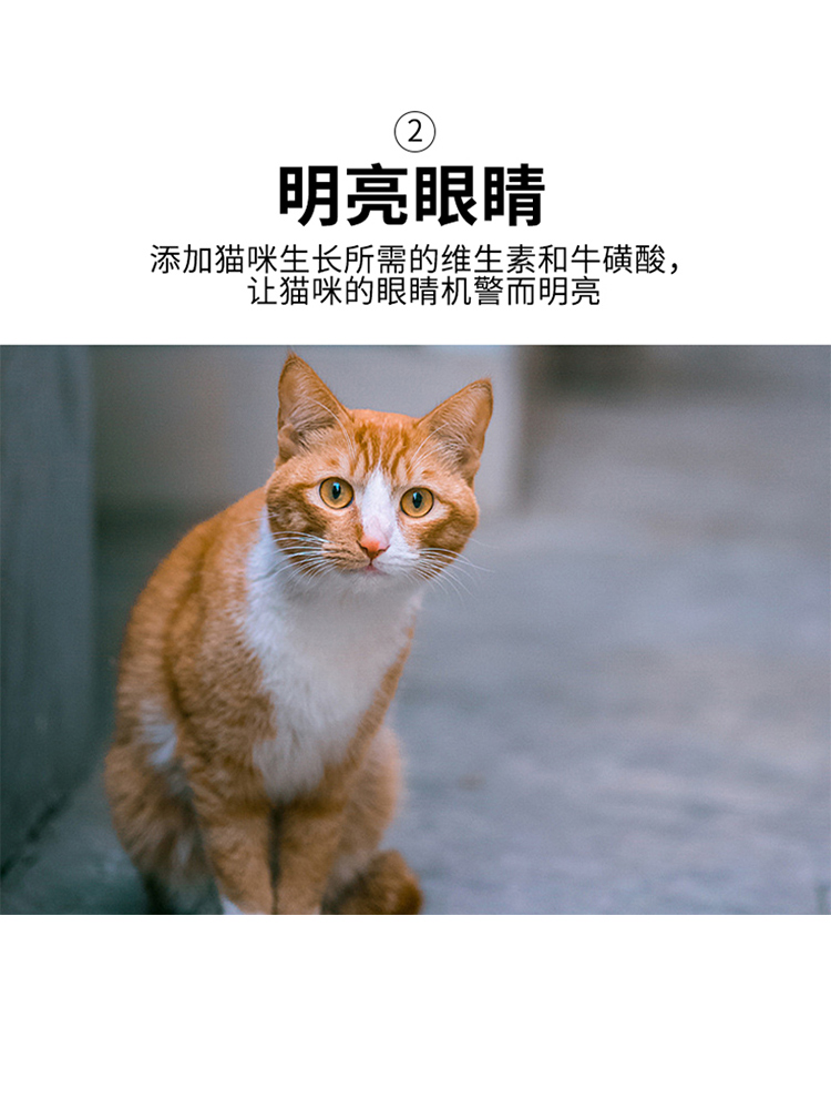 靓贝猫粮10kg牛肉三文鱼成猫幼猫增肥发腮明亮眼睛全阶段20斤猫粮-图1