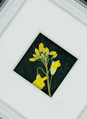 花未落ins风森系干花压花