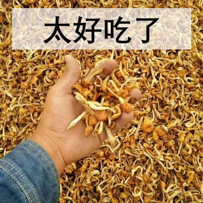 东北干滑子菇黄蘑干货菌菇无根肉厚滑子蘑小黄蘑香菇小鸡炖蘑菇 - 图2