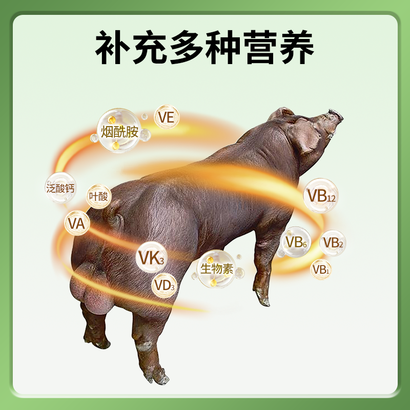 种公猪多维饲料预混料补充维生素营养提高精子配种率延长使用年限 - 图0