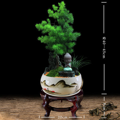 蓬莱松盆栽植物室内大客厅招财四季绿植花卉好养办公室老桩真盆景 虎窝淘