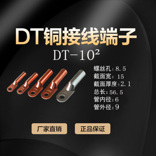 铜鼻子DT-10mm2 线鼻子 电缆铜接线端子 铜管鼻 - 图0