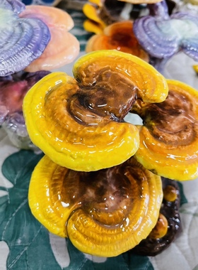 瓷蓓高温釉下彩陶瓷手工灵芝客厅玄关装饰品摆件电视柜桌面礼物