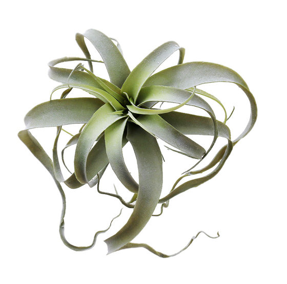 Simulated air wall decoration floral desert plants