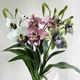 Simulated potted small bonsai with flower buds
