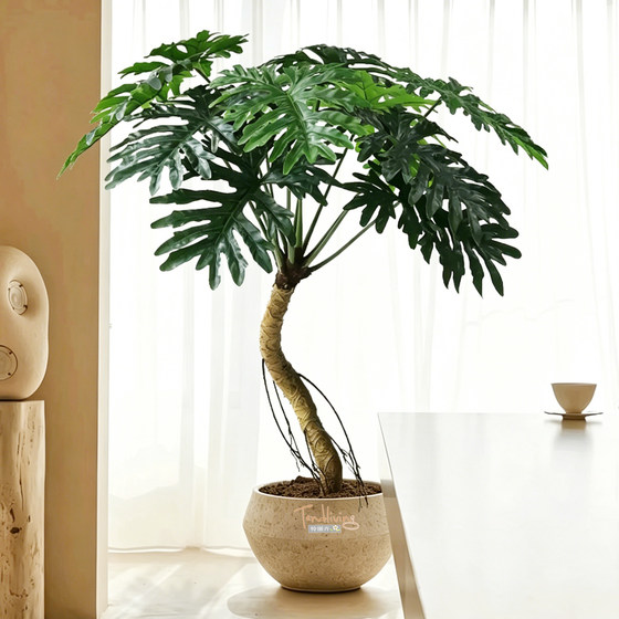 Simulated dragon scale spring taro large floor-standing simulated green plant