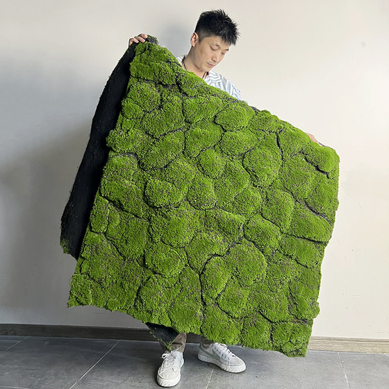 Simulated plant moss turf Zen landscape