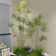 Simulation of the top ten merits of potted plants, indoor living room decoration, quiet wind, Zen fake plants, floor-standing ornaments, green plants and landscaping