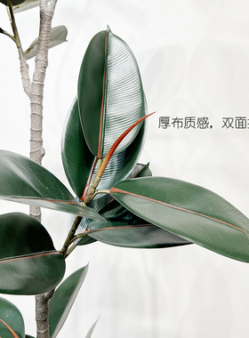 特丽卉仿真玉兰树包邮优惠