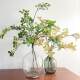 Simulated green plants wedding hotel home soft decoration project