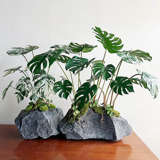 New simulated turtle leaf desktop potted plant Terilihui