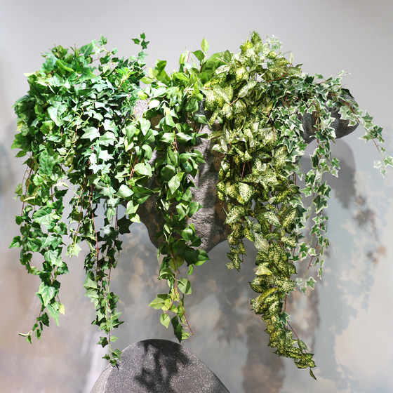 Simulation ivy pig heart leaf grape wall hanging vine