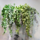 Simulation ivy pig heart leaf grape wall hanging vine