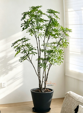 仿真木薯叶孔雀木叶子绿植物摆件室内现代轻奢风客厅玄关桌面装饰