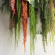 Simulated soft silk tail amaranth hanging rice lover's tears hanging fake flower art hanging simulated green plant wall design decoration