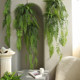 Hanging fern fresh green plants indoor garden courtyard
