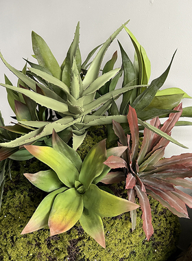特丽卉仿真沙漠地面植物包邮