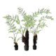 Long single artificial fern grass landscaping