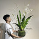 Terihui simulated dendrobium orchid potted plant