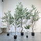 Terrihui large green olive tree floor-standing potted plant