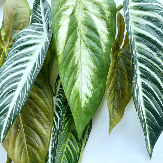 Terrihui/simulated single millennium taro leaf