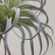 Simulated air wall decoration floral desert plants