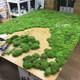 Simulated immortalized moss Zen landscaping