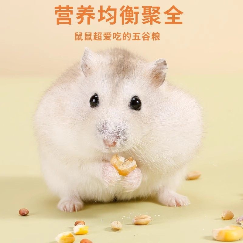 仓鼠粮食熊营养主粮饲料面包虫海鲜杂粮用品大全小零食1200ml,淘宝优惠券,粉丝福利购,淘宝优惠卷