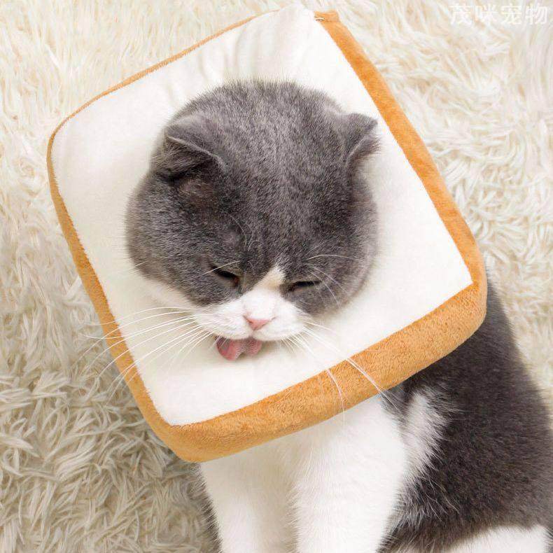 伊丽莎白圈可调节吐司面包猫绝育软项圈防舔咬狗狗脖圈实用设计,淘宝优惠券,粉丝福利购,淘宝优惠卷