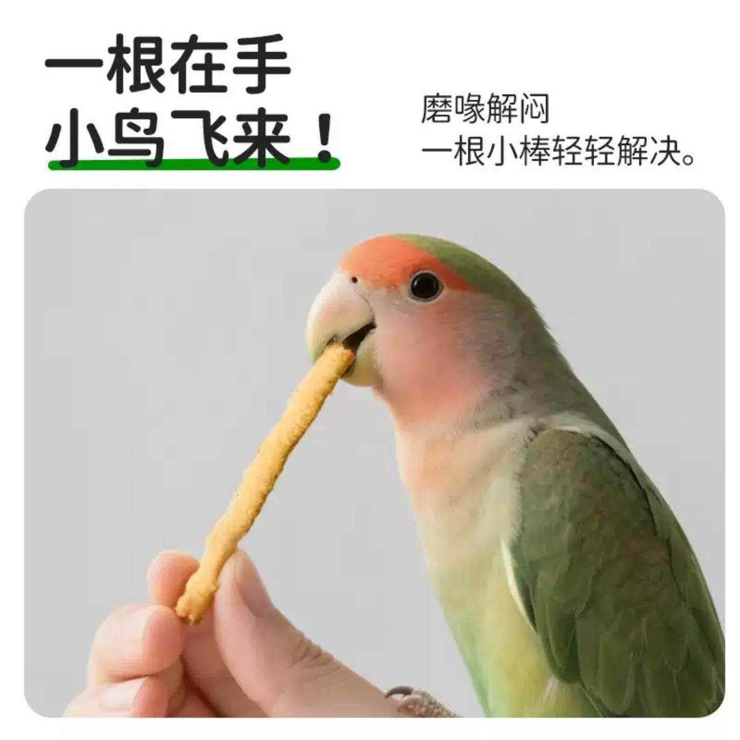 磨牙棒磨喙零食妙脆条虎皮玄凤谷物啃咬玩具用品训练奖励鸟零食,淘宝优惠券,粉丝福利购,淘宝优惠卷