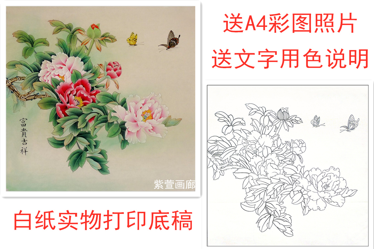 高清工笔画素材斗方牡丹蝴蝶花鸟画工笔画白描底稿线稿实物打印稿 - 图0
