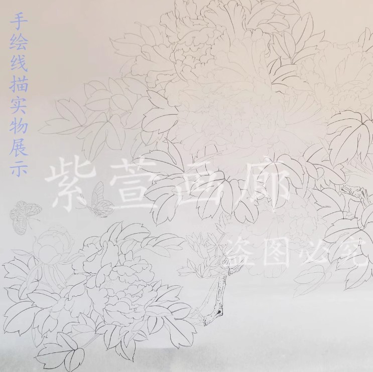 工笔画底稿白描画稿临摹底稿白描手勾熟宣线描可直接上色牡丹蝴蝶 - 图2