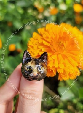 大头猫咪项圈戒指2件套装 奶牛猫加菲猫德文猫三花暹罗田园