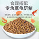 ອາຫານທົ່ວໄປສໍາລັບອາຫານເຕົ່າຈີນ