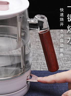 思奈尔玻璃电热烧水快壶自动断电