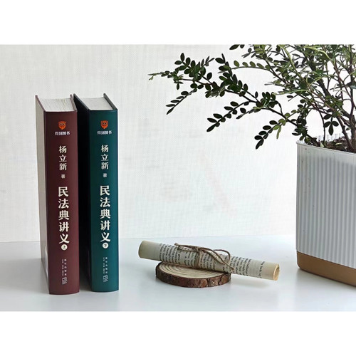 杨立新民法典讲义 上下两册 得到通识讲义系列 人生7大阶段 400个案例覆盖日常衣食住行没事不惹事有事不怕事 法律 - 图3