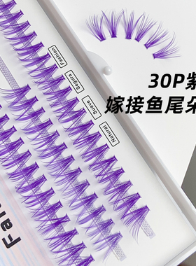紫色朵毛分段鱼尾嫁接睫毛