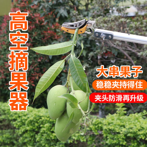 朗祺高空剪高枝锯摘果修枝剪刀可伸缩省力园林果树枝园艺工具采摘 - 图0