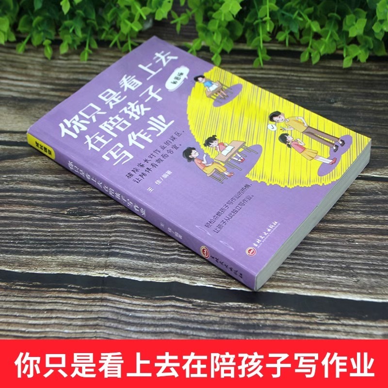 3册 超解费曼学习法+你只是看上去在陪孩子写作业+这样给孩子定规矩让孩子不抵触的魔性方法学霸是这样炼成的好父母不吼不叫育儿书