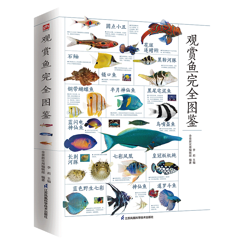 新书正版 图解观赏鱼完全图鉴 海洋生物鱼类大百科热带海水鱼淡水鱼冷水性鱼等 家庭喂养鱼宠物鱼喂养指南学会鉴别观赏鱼正确饲养 - 图3