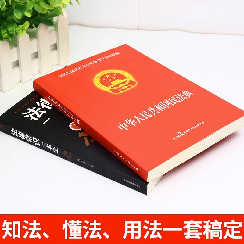 2册】中华人民共和国民法典法律常识一本全正版全套新版中国民法大全书籍新民典法大字明法点版名法典明典法共国名法典版畅销-图0