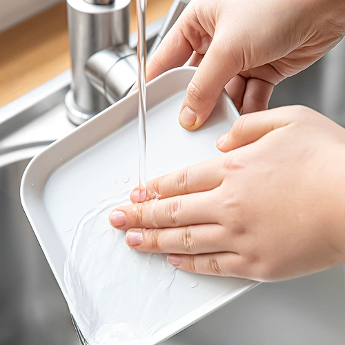 Япония рвота в костяной головке Дом Дом рвота блюдо по погружению